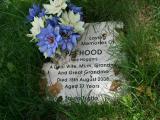 image number Hood Pat 070